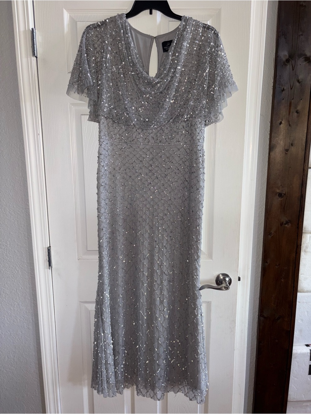 Adrianna Papell Silver Sequin Maxi Dress with Capelet
